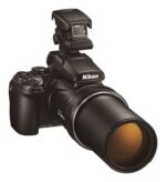Nikon Coolpix P1100 - Imagen 11